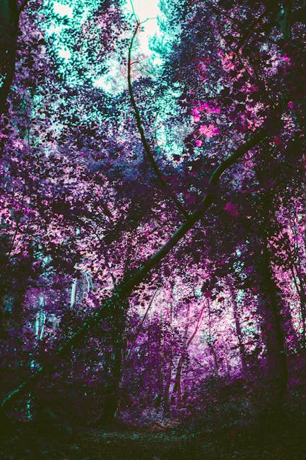 A surreal forest scene with vivid purple leaves and a low angle view creating a dreamlike atmosphere.